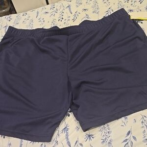 ❤️10/$40 New Men's Navy Blue Mesh Shorts